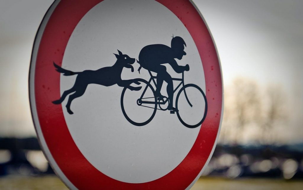 Traffic sign warning cyclists of dogs